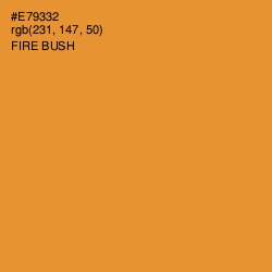 #E79332 - Fire Bush Color Image